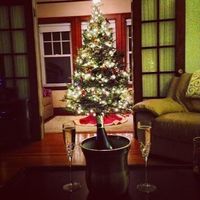 NWR - Alright, who's got their tree up?!