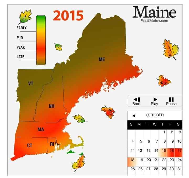 One Month Left!!!!!! Oct 2nd Brides