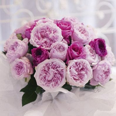 Help me identify these flowers!