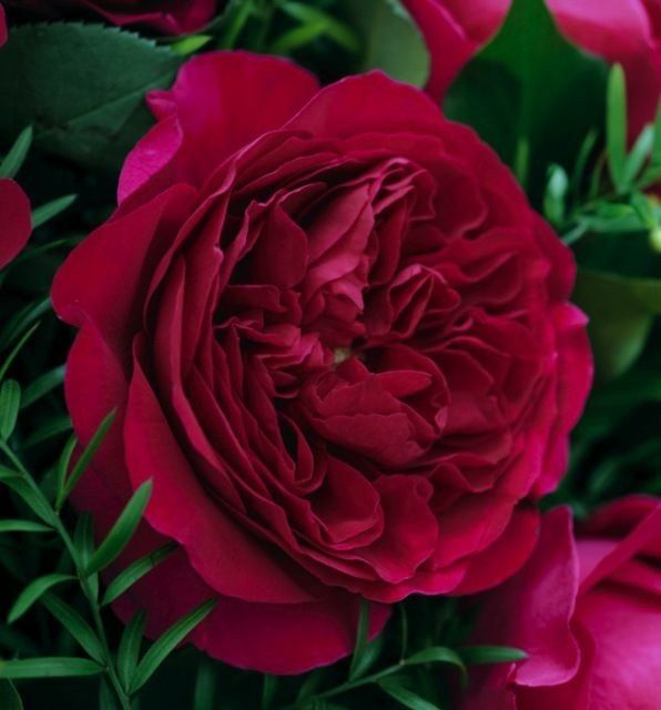 Flower inspirations - lets see them