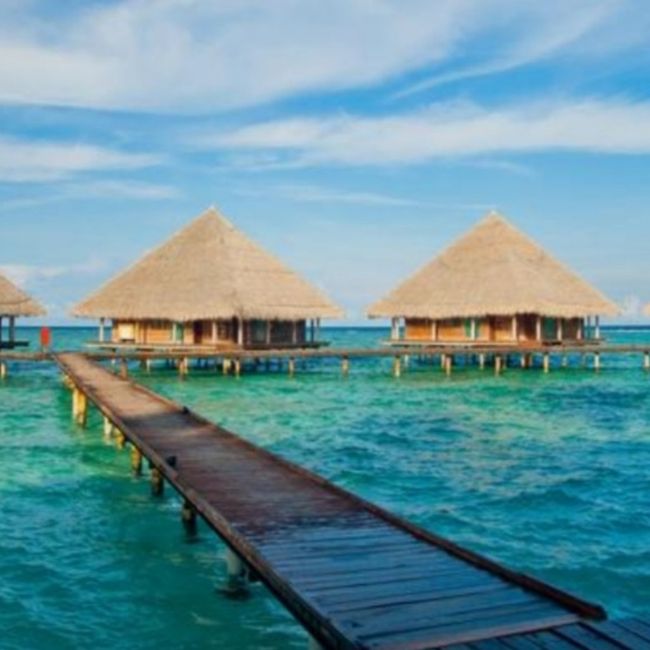 What is your ideal honeymoon location 1