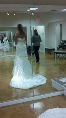 My dress is in and here it is!!