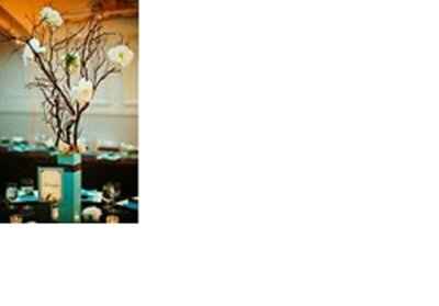 Where to find these vases?!--Tiffany Blue