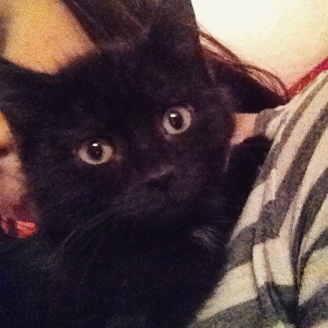 NWR: post pics of your pets!!