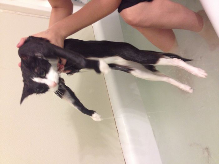NWR: post pics of your pets!!