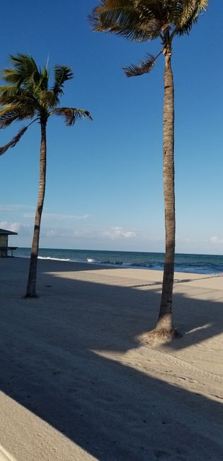 Beachy wedding ideas/hollywood, fl - 3