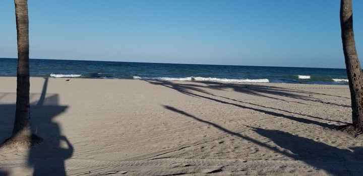 Beachy wedding ideas/hollywood, fl - 2