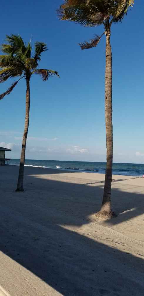 Beachy wedding ideas/hollywood, fl - 3