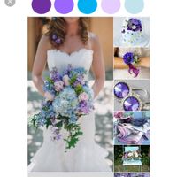 COLOR SCHEME HELP? WHAT ARE YOUR COLORS?