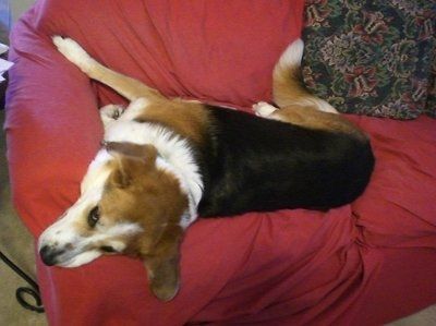 NWR: Lets see our pets!!