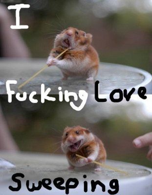 It's funny photo time!