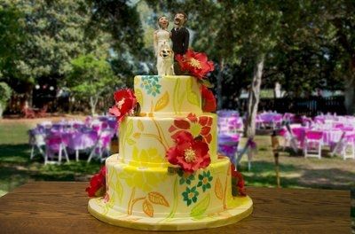 Cake Questions