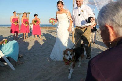 Back and Hitched!  ***Pic Heavy***