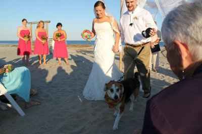 Back and Hitched!  ***Pic Heavy***