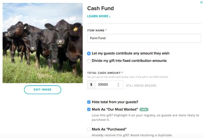 Snippet of Cash Fund