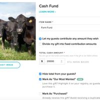 Snippet of Cash Fund