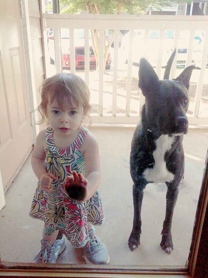 Married Before Wedding After