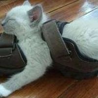 MRS. S - Saw this and thought of you :)