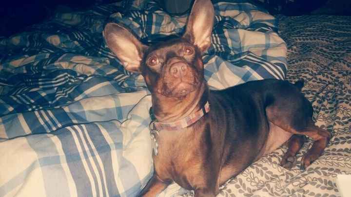 NWR: Show me your pups!