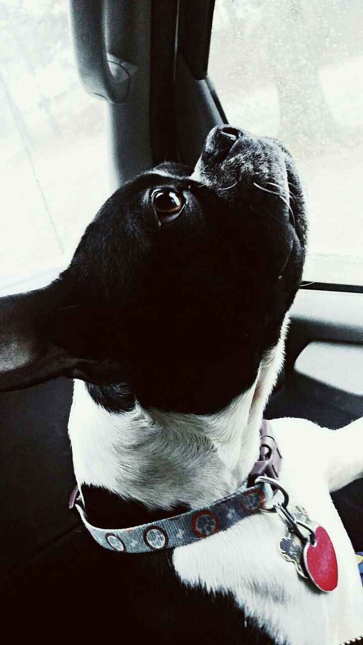 NWR: Show me your pups!