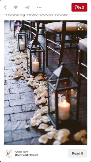 Aisle runners and fake flowers or things to line my aisle?