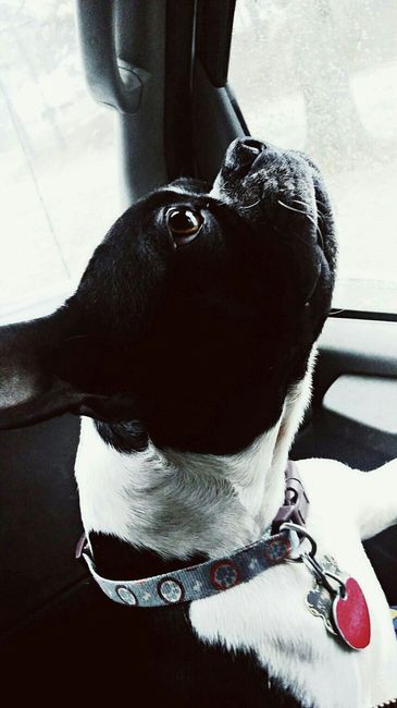 NWR: Show me your pups!