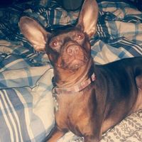 NWR: Show me your pups!