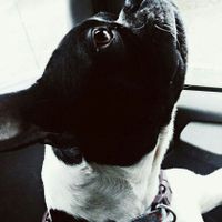 NWR: Show me your pups!