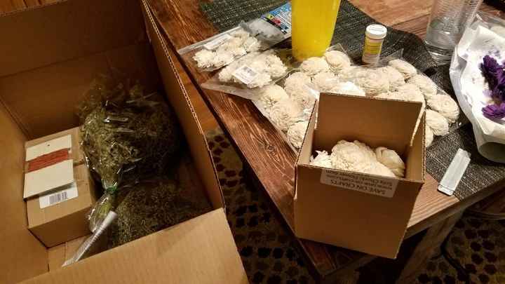 Show me your sola wood flowers!