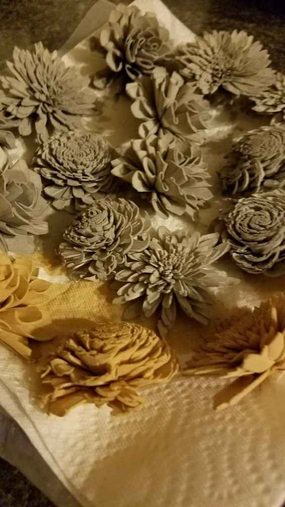 Show me your sola wood flowers!