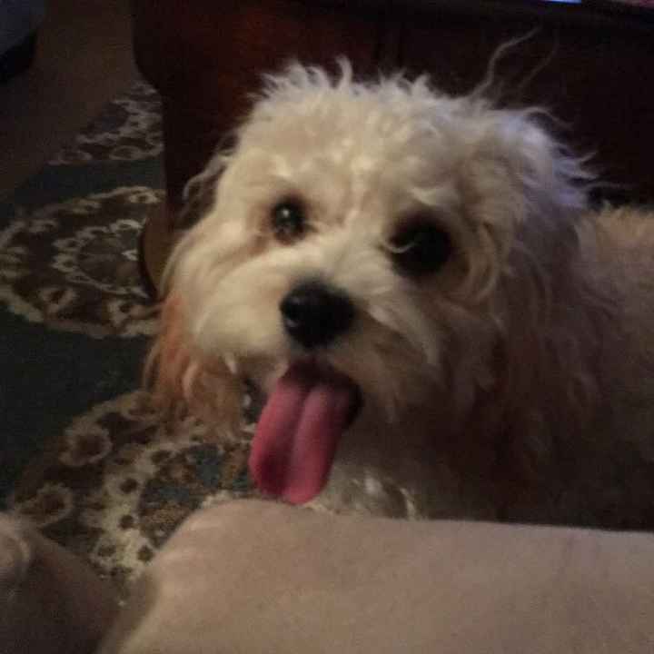 NWR: Show me your pups!