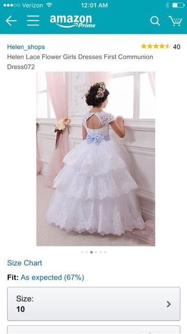 Which Flower Girl Dress?