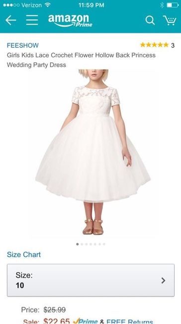 Which Flower Girl Dress?