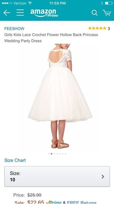 Which Flower Girl Dress?