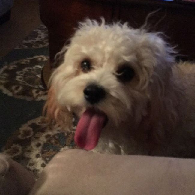 NWR: Show me your pups!
