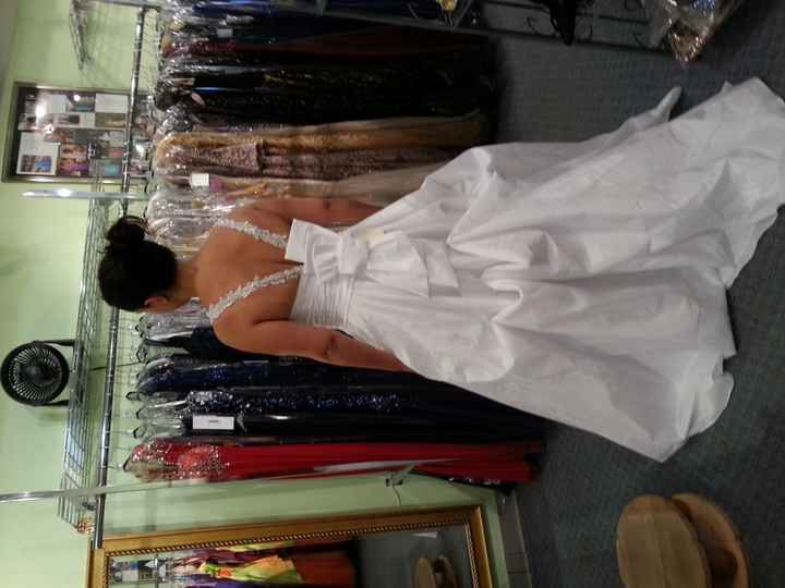 2nd Dress Fitting (pics)