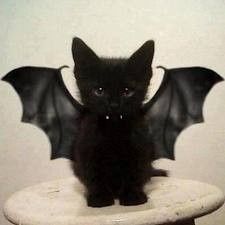 NWR Happy Halloween!
