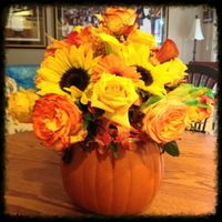 Back and married (pic heavy)