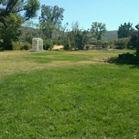 Ceremony backdrop! What to do?!?