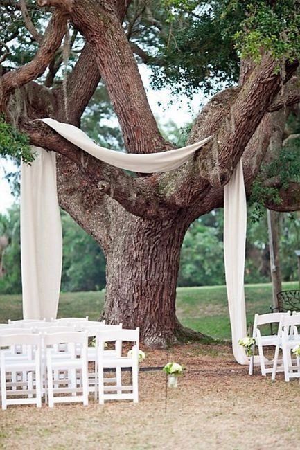 Chuppah Dilemma 1