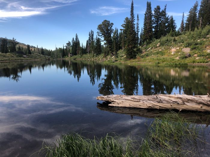 bab & Certified! *pic heavy* 3