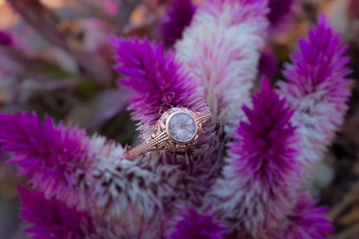 Sneak peak from our engagement session