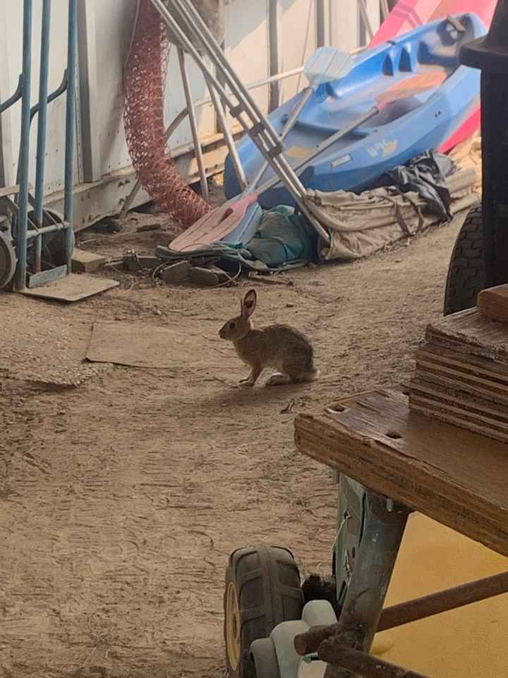 Sanctuary place...where is yours? - 7