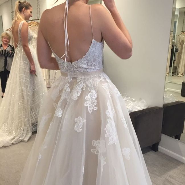 My Dress Finally Arrived!