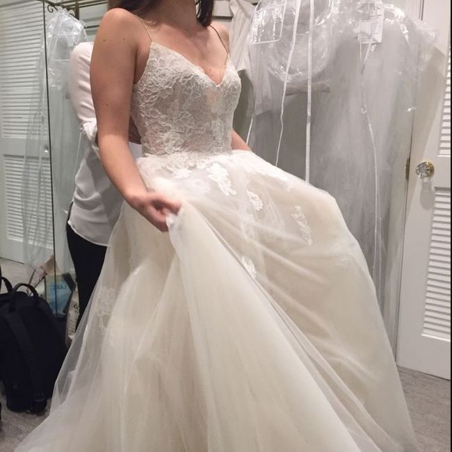 My Dress Finally Arrived!