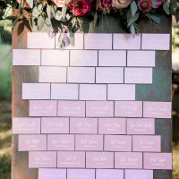 Finally... Megan & Chris' Pro-BAM! (with lots of photos and advice!)