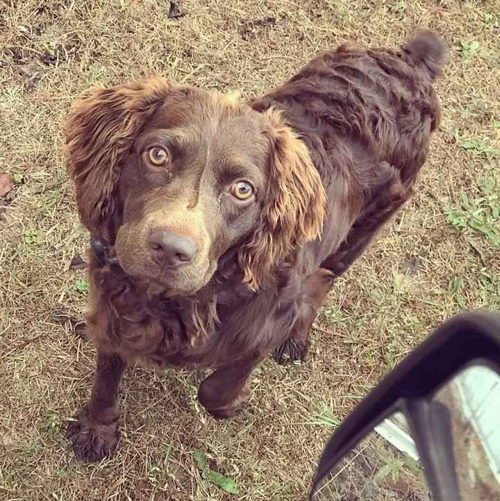 Done with everything!