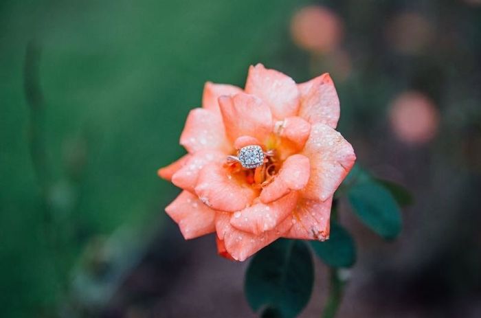 Engagement picture sneak peak!