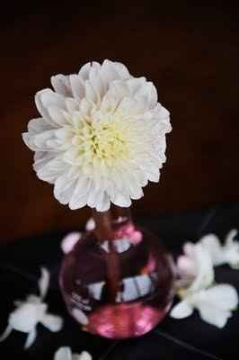 Decorations ideas