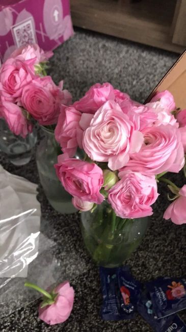 Light pink ranunculus